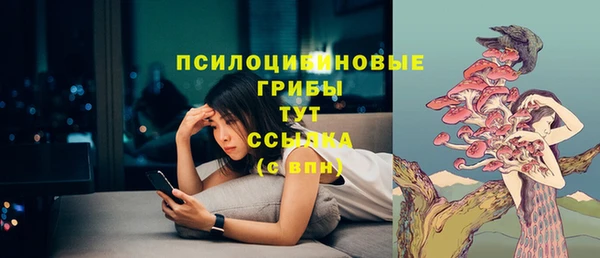 меф Медногорск